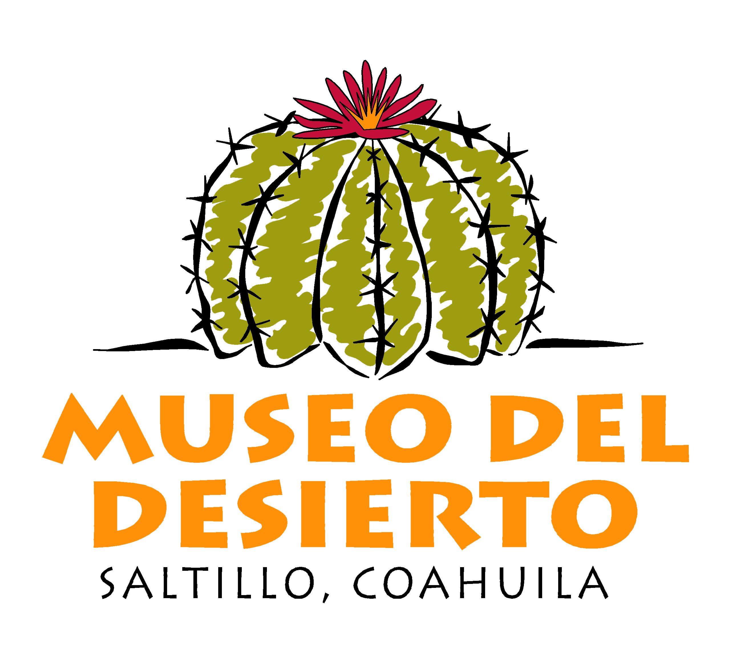 Museo del Desierto